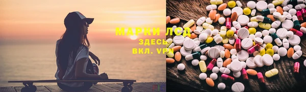 гашик Алексин