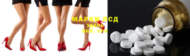 гашик Алексин