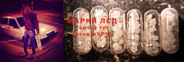 гашик Алексин