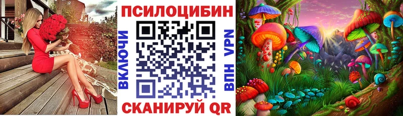 как найти закладки  Дмитровск  Галлюциногенные грибы Psilocybine cubensis 