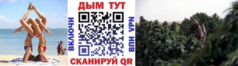 наркота  Дмитровск  это телеграм  Конопля Amnesia 